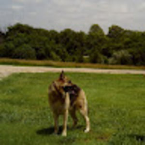 Meet your Posher, Richard